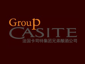 CasiteF(tun)ֵᄾ޹˾