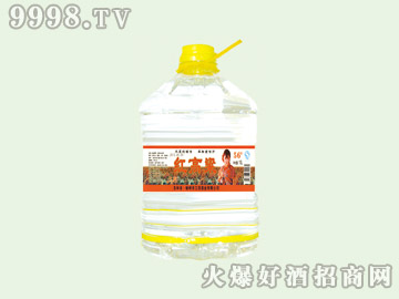 It4210L12-׾Ϣ