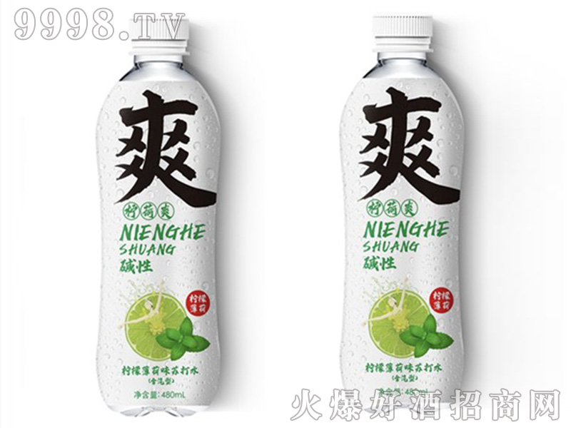 ˬKˮ480ml-Ϣ