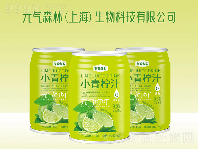 YQSLС֭Ԫⶣ250ml-Ϣ